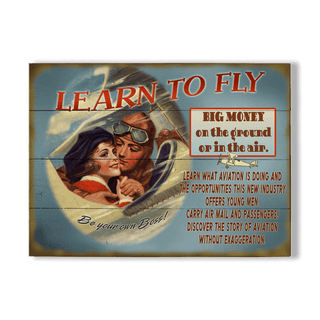 Learn to Fly: Generic - Wood & Metal Wall Art Wood & Metal Wall Art Meissenburg Designs Wood 12" x 9"