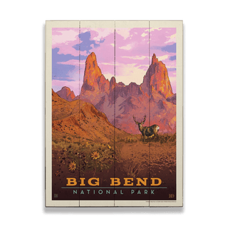 Big Bend National Park: Mule Deer - Wood & Metal Wall Art Wood & Metal Wall Art Anderson Design Group