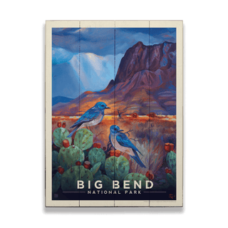 Big Bend National Park: Desert Perch - Wood & Metal Wall Art Wood & Metal Wall Art Anderson Design Group