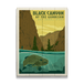 River Trout