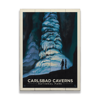 Carlsbad Caverns National Park: Big Room - Wood & Metal Wall Art Wood & Metal Wall Art Anderson Design Group