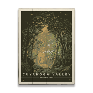Cuyahoga Valley National Park: Afternoon Shade - Wood & Metal Wall Art Wood & Metal Wall Art Anderson Design Group
