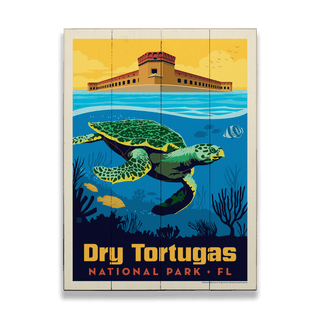 Dry Tortugas National Park: Sea Turtle - Wood & Metal Wall Art Wood & Metal Wall Art Anderson Design Group
