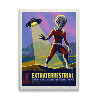 Extraterrestrial: The Dune's Mysterious Guest - Wood & Metal Wall Art Wood & Metal Wall Art Anderson Design Group