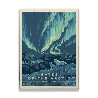 Gates of the Arctic National Park: Northern Lights - Wood & Metal Wall Art Wood & Metal Wall Art Anderson Design Group