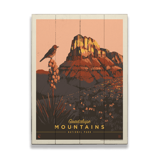 Guadalupe Mountains National Park: Early Bird - Wood & Metal Wall Art Wood & Metal Wall Art Anderson Design Group
