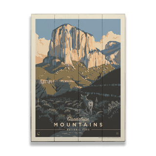 Guadalupe Mountains National Park: Deer in the Shadows - Wood & Metal Wall Art Wood & Metal Wall Art Anderson Design Group