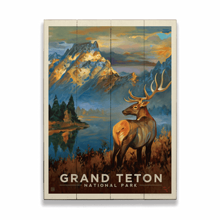 Grand Teton National Park: Sunrise Elk - Wood & Metal Wall Art Wood & Metal Wall Art Anderson Design Group