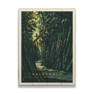 Haleakala National Park: Tropical Shade - Wood & Metal Wall Art Wood & Metal Wall Art Anderson Design Group