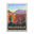 Silver Swords