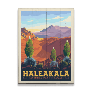 Haleakala National Park: Silver Swords - Wood & Metal Wall Art Wood & Metal Wall Art Anderson Design Group
