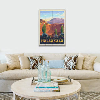 Haleakala National Park: Silver Swords - Wood & Metal Wall Art Wood & Metal Wall Art Anderson Design Group