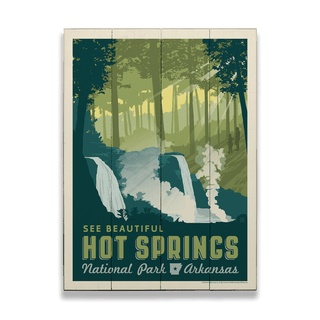 Hot Springs National Park: Arkansas Forest - Wood & Metal Wall Art Wood & Metal Wall Art Anderson Design Group
