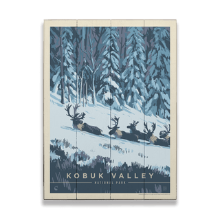 Kobuk Valley National Park: Winter Wonderland - Wood & Metal Wall Art Wood & Metal Wall Art Anderson Design Group