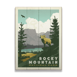 Rocky Mountain National Park: Bighorn Vista - Wood & Metal Wall Art Wood & Metal Wall Art Anderson Design Group