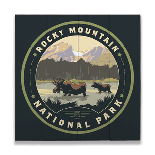Rocky Mountain National Park: Marshland Moose - Wood & Metal Wall Art Wood & Metal Wall Art Anderson Design Group