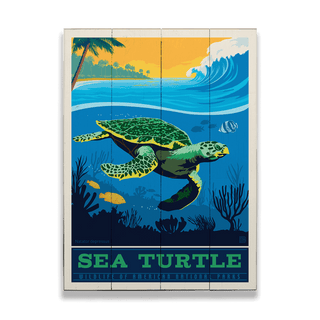 Wildlife of America's National Parks - Wood & Metal Wall Art Wood & Metal Wall Art Anderson Design Group