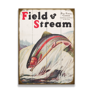 Field & Stream Cover April 1933 - Wood & Metal Wall Art Wood & Metal Wall Art Field & Stream Wood 9" x 12"