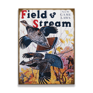 Field & Stream Cover October 1935 - Wood & Metal Wall Art Wood & Metal Wall Art Field & Stream Wood 9" x 12"
