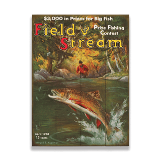 Field & Stream Cover April 1938 - Wood & Metal Wall Art Wood & Metal Wall Art Field & Stream Wood 9" x 12"