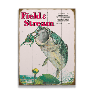 Field & Stream Cover July 1953 - Wood & Metal Wall Art Wood & Metal Wall Art Field & Stream Wood 9" x 12"