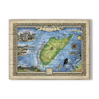 Dives and Beaches of Cozumel, Mexico - Wood & Metal Wall Art Wood & Metal Wall Art Lisa Middleton Wood 23" x 17"