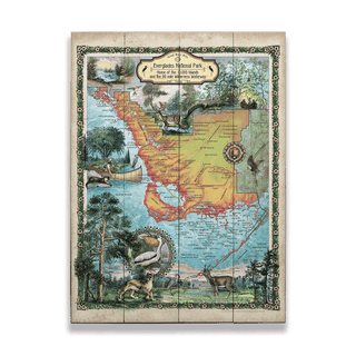 Everglades National Park: Illustrated Map - Wood & Metal Wall Art Wood & Metal Wall Art Lisa Middleton Wood 17" x 23"