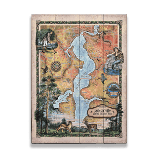 Jacksonville and the St. John's River: Illustrated Map - Wood & Metal Wall Art Wood & Metal Wall Art Lisa Middleton Wood 17" x 23"