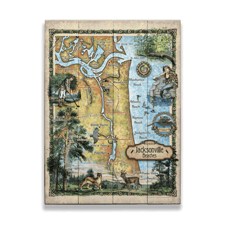 Jacksonville Beaches, Florida: Illustrated Map - Wood & Metal Wall Art Wood & Metal Wall Art Lisa Middleton Wood 17" x 23"