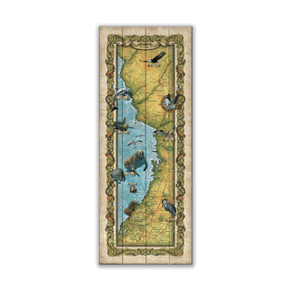The Nature Coast of Florida: Illustrated Map - Wood & Metal Wall Art Wood & Metal Wall Art Lisa Middleton Wood 14" x 36"