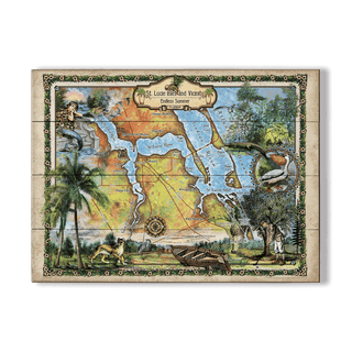 St. Lucie Inlet and Vicinity: Illustrated Map - Wood & Metal Wall Art Wood & Metal Wall Art Lisa Middleton Wood 23" x 17"