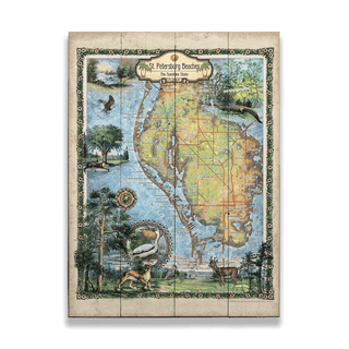 St. Petersburg Beaches, Florida: Illustrated Map - Wood & Metal Wall Art Wood & Metal Wall Art Lisa Middleton Wood 17" x 23"