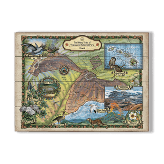 Hiking Trails of Volcanoes National Park - Wood & Metal Wall Art Wood & Metal Wall Art Lisa Middleton Wood 23" x 17"