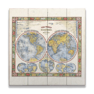 The World in Hemisphers: Illustrated Map - Wood & Metal Wall Art Wood & Metal Wall Art Lisa Middleton Wood 18" x 18"