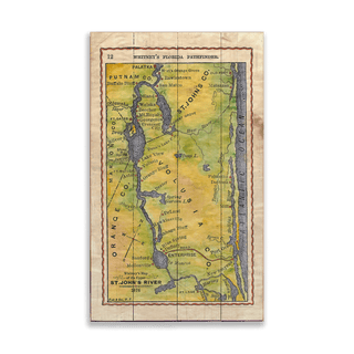 Whitney's Map of St. John's River: Vintage Map - Wood & Metal Wall Art Wood & Metal Wall Art Lisa Middleton Wood 14" x 24"