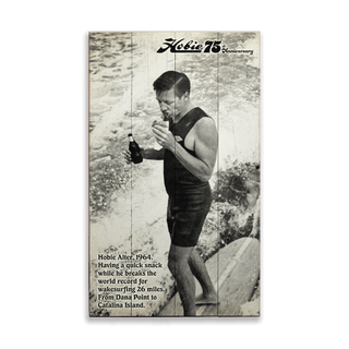 Hobie's Wakesurfing World Record - Wood & Metal Wall Art Wood & Metal Wall Art Hobie Wood 8" x 14"