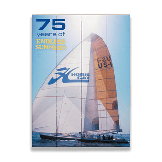 Classic Hobie Cat - Wood & Metal Wall Art Wood & Metal Wall Art Hobie Wood 9" x 12"