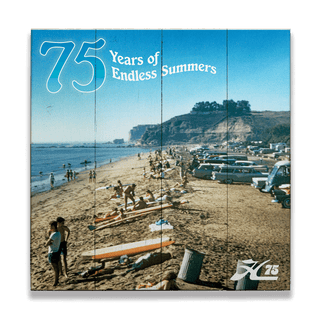 Vintage Shore and Surf Scene - Wood & Metal Wall Art Wood & Metal Wall Art Hobie Wood 10.5" x 10.5"