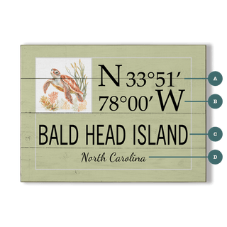 Coastal Coordinate Grid: Sage Turtle - Wood & Metal Wall Art Wood & Metal Wall Art Joanne Murphy Wood 12" x 9"