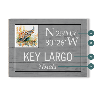 Coastal Coordinate Grid: Gray Turtle - Wood & Metal Wall Art Wood & Metal Wall Art Joanne Murphy Wood 12" x 9"