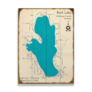 Burt Lake, Michigan - Wood & Metal Wall Art Wood & Metal Wall Art Lake Art Wood 17" x 23"