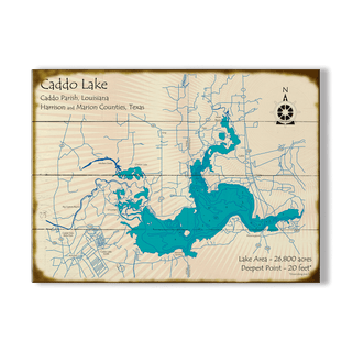 Caddo Lake, Louisiana & Texas - Wood & Metal Wall Art Wood & Metal Wall Art Lake Art