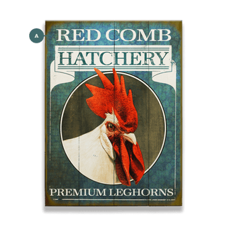 Chicken Hatchery - Wood & Metal Wall Art Wood & Metal Wall Art Meissenburg Designs Wood 9" x 12"