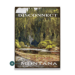 Disconnect in Nature - Wood & Metal Wall Art Wood & Metal Wall Art Meissenburg Designs Wood 9" x 12"