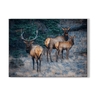 Three Elk Ensemble - Wood & Metal Wall Art Wood & Metal Wall Art Michael Underwood Wood 12" x 9"