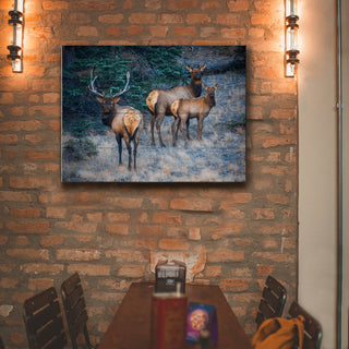 Three Elk Ensemble - Wood & Metal Wall Art Wood & Metal Wall Art Michael Underwood