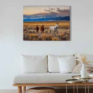 Horses in the San Luis Valley - Wood & Metal Wall Art Wood & Metal Wall Art Michael Underwood
