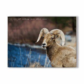 Majestic Bighorn - Wood & Metal Wall Art Wood & Metal Wall Art Michael Underwood Wood 12" x 9"