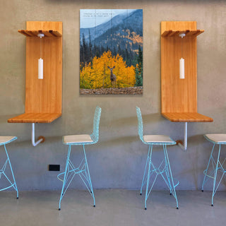 Curious Deer - Wood & Metal Wall Art Wood & Metal Wall Art Michael Underwood