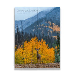 Curious Deer - Wood & Metal Wall Art Wood & Metal Wall Art Michael Underwood Wood 9" x 12"